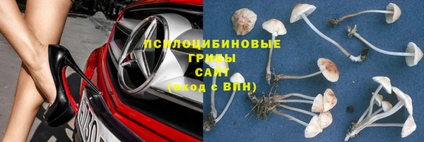 мяу мяу мука Краснослободск