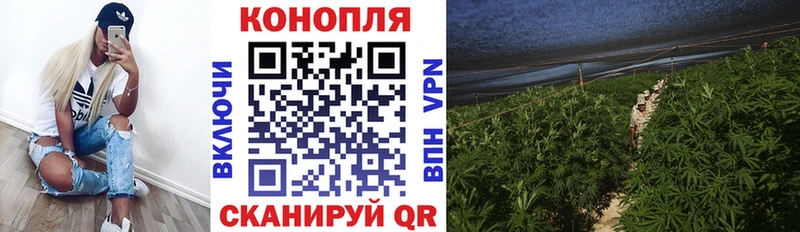 Купить закладки  Октябрьск  Канабис VHQ 